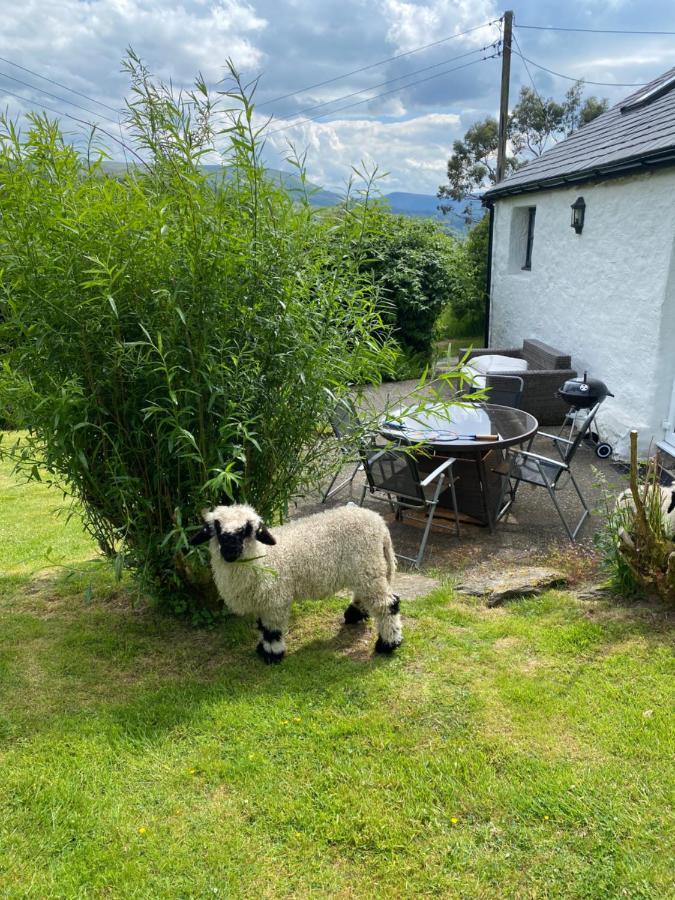 Fron Goch Cottage Dolwyddelan Bagian luar foto